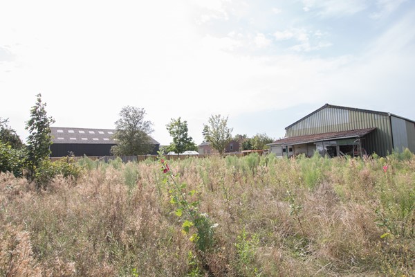 Medium property photo - Veldstraat 24, 4507 AP Schoondijke